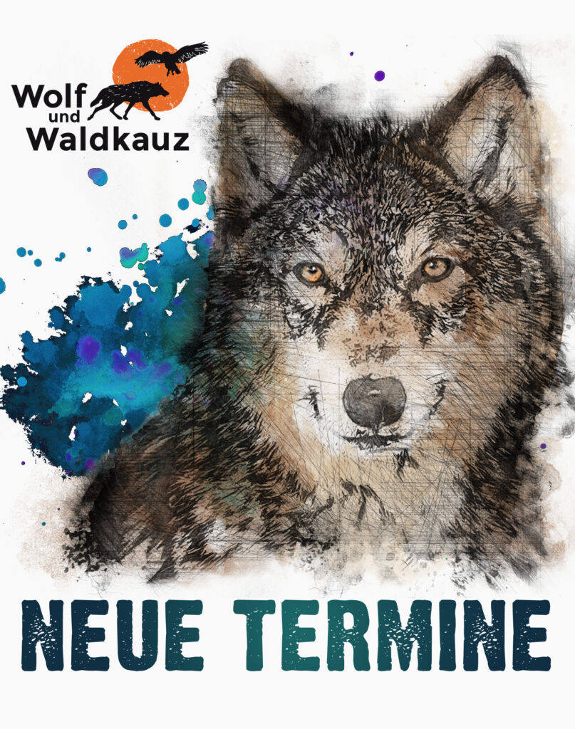 Neue Termine Wolf und Waldkauz