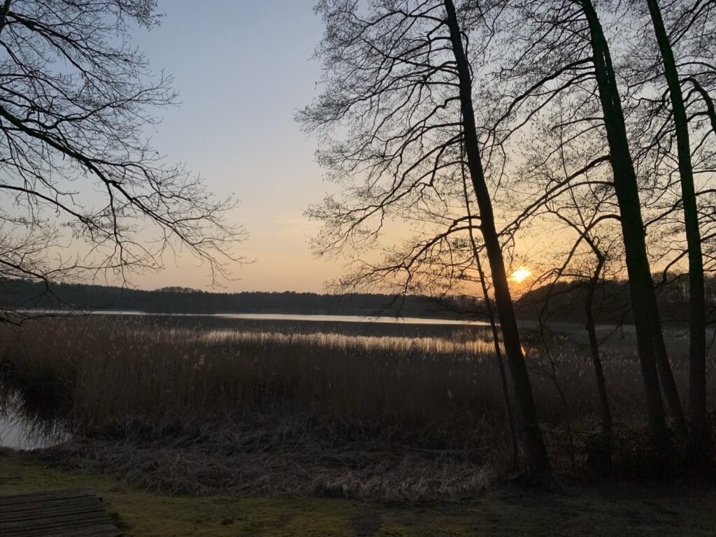 Wildnisplatz_am_Silbersee