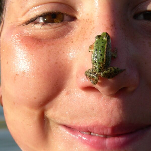 WuW Schmutzig und Glücklich