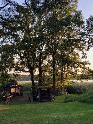 Wildnisplatz am Silbersee | Foto| Susanne Feld